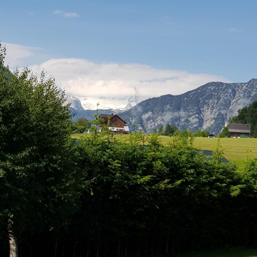 Apartment Dachsteinblick Bad Aussee Bagian luar foto